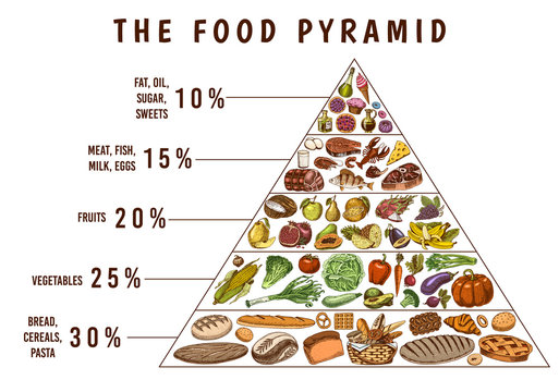 A food pyramid illustrating